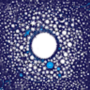 Meet your Posher, Youngmin